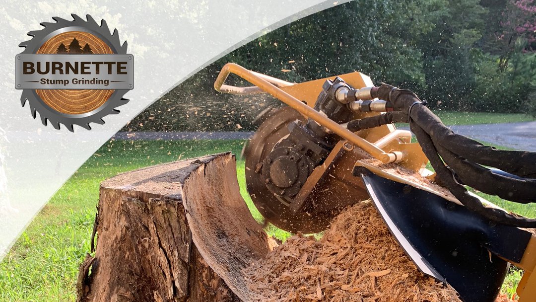 Burnette Stump Grinding branded image of a grinder cutting a tree stump